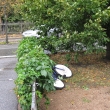 denmark_0681