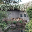 denmark_0802