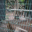 denmark_0875