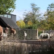 denmark_1015