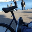denmark_1204