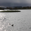 iceland_0001