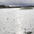 iceland_0010