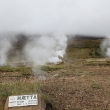Steam