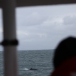 iceland_0481