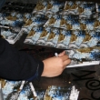 pics_002.jpg