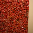 pics_096.jpg