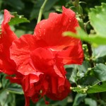FI_08