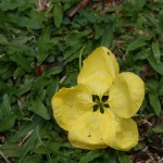 FI_10