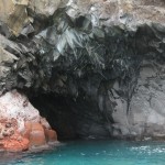 IMG_0275
