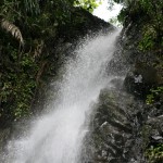 Pics_99_66